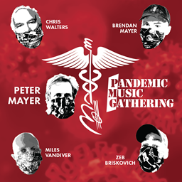 Picture of Pandemic Music Gathering DIGITAL EP