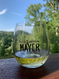 Picture of Long Story Short Acrylic Stemless Wine Glasses