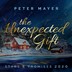 Picture of Stars and Promises 2020: The Unexpected Gift DIGITAL Album
